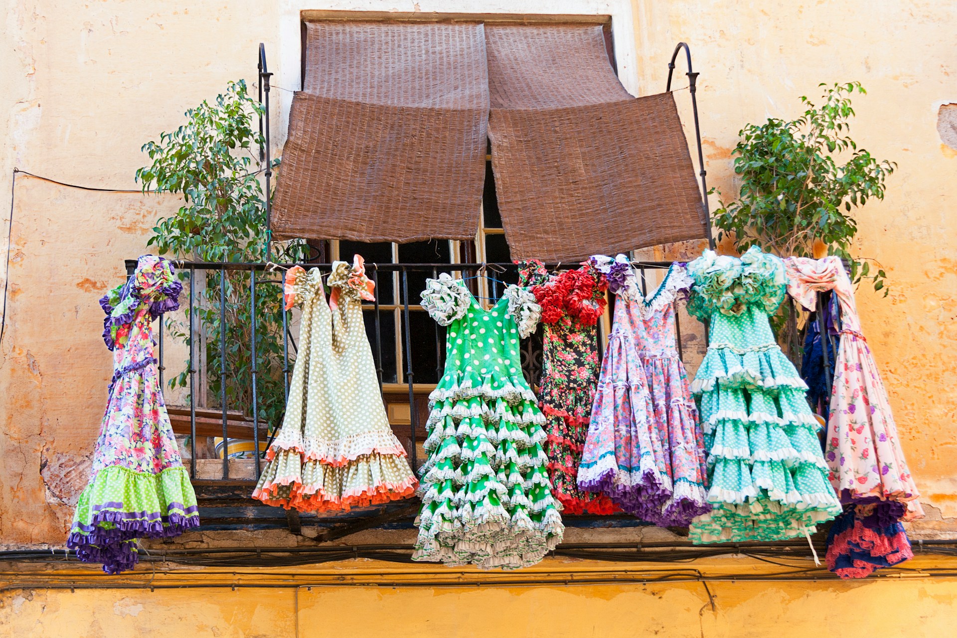 Flamenco Dress