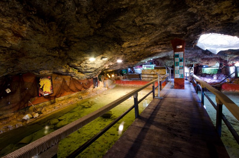 cap blanc aquarium, a wooden bridge wiith watet all around - Journey Inspirations cap blanc aquarium, a wooden bridge wiith watet all around