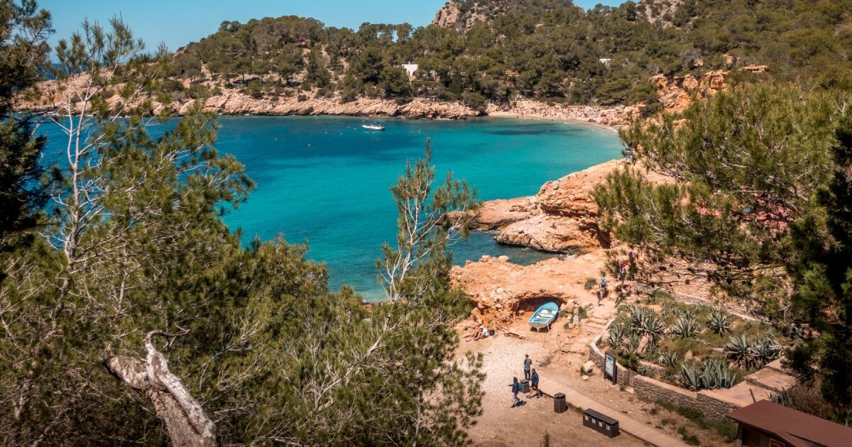 High angle view of a blue lagoon surrounded by trees in Ibiza http://www.freepik.com/