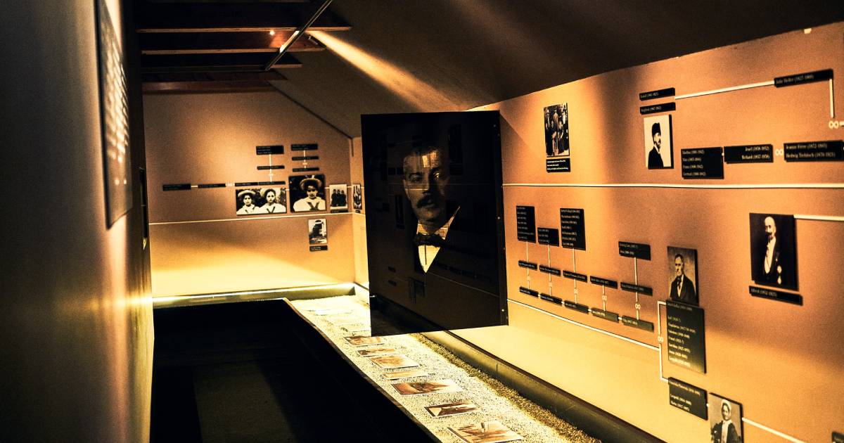kafka museum in pragu, a selection of photos